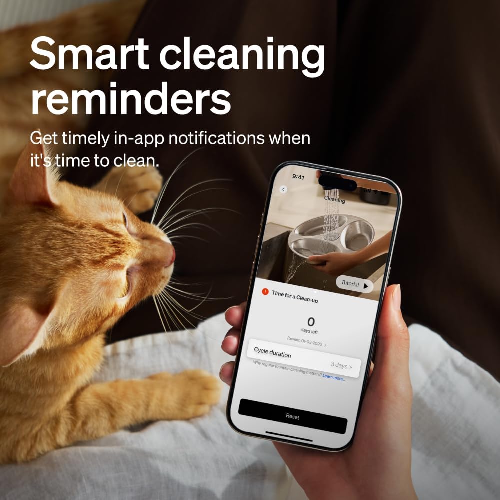PETLIBRO Automatic Wet Food Cat Feeder 2026 New Version with Semiconductor Cooling, Refrigerated 3 Fresh Meals in 3 Days, App-Controlled Pet Food Dispenser, Stainless Steel Bowl, Easy to Clean | Product image 8