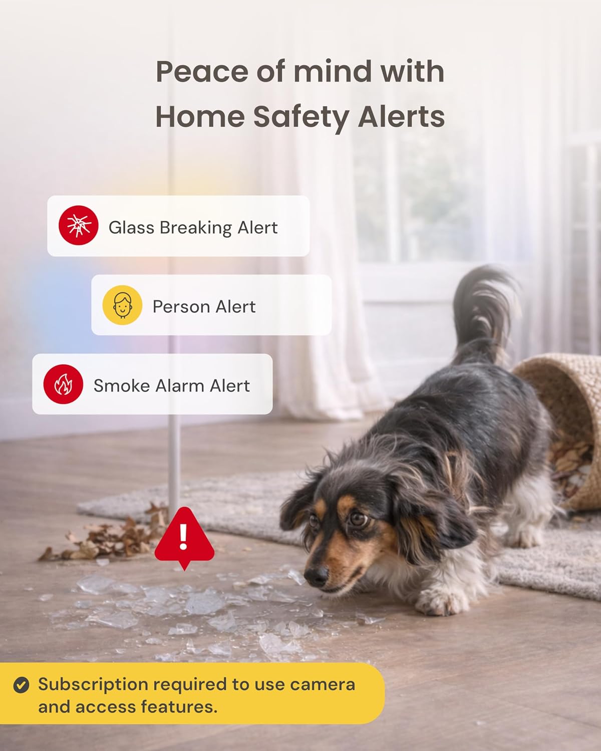 Furbo 360° Dog Camera [Paid Plan Required to Activate] | Stay connected with AI Dog & Home Safety Alerts, Treat Toss, Auto-Tracking, Video History, 2-Way Audio (Subscription 3mo min) | Product image 8