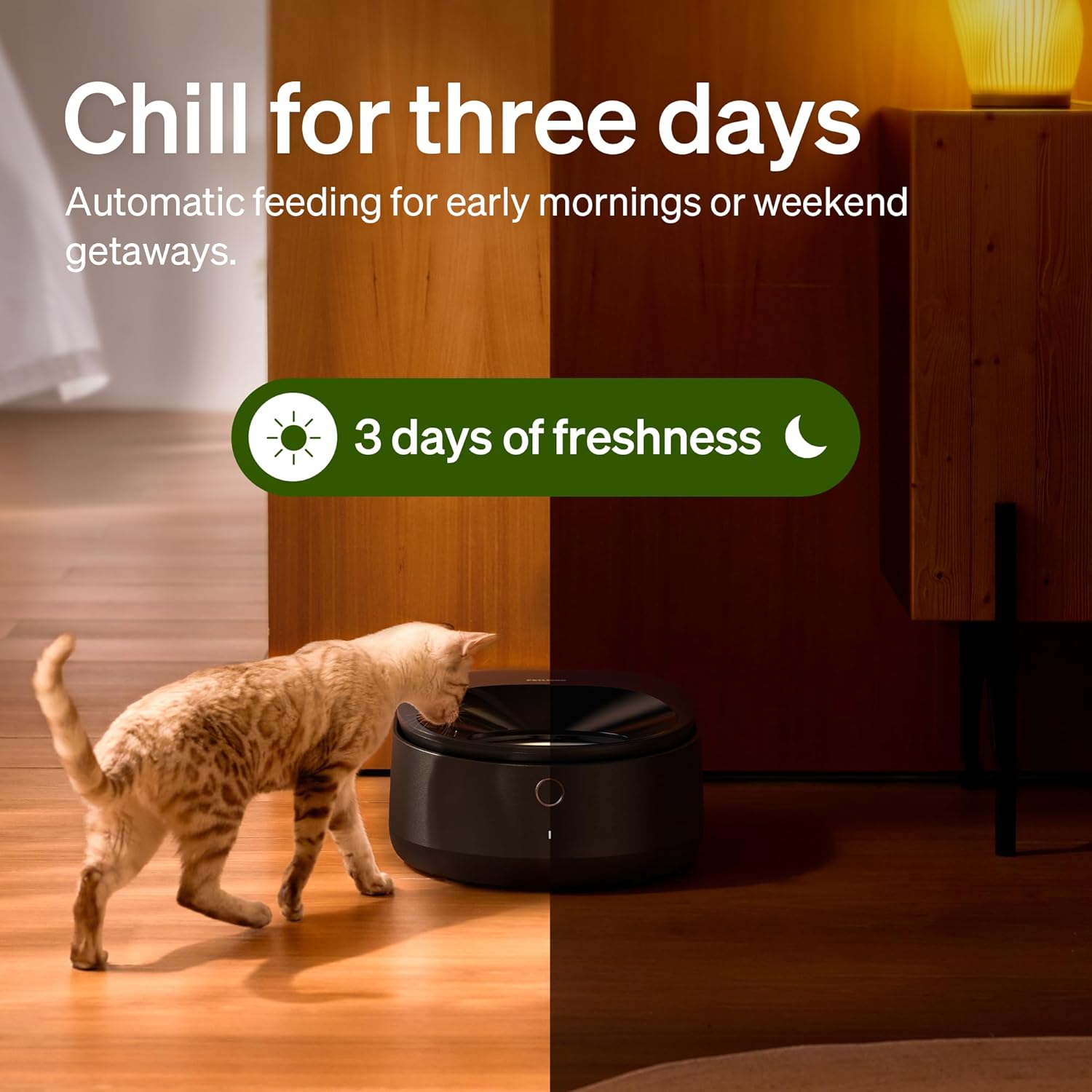 PETLIBRO Automatic Wet Food Cat Feeder 2026 New Version with Semiconductor Cooling, Refrigerated 3 Fresh Meals in 3 Days, App-Controlled Pet Food Dispenser, Stainless Steel Bowl, Easy to Clean | Product image 2