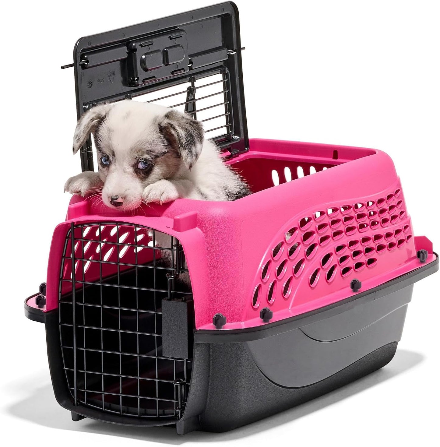 Petmate Dog Crates for Small Dogs & Cat Carriers, Two-Door Plastic Pet Kennel, Top & Front Loading, Made in USA, 24", Blue | Plastic pet kennel made in USA, for small pups and kittens, dual entry design, great for travel and vet trips, easy access | Product image 6
