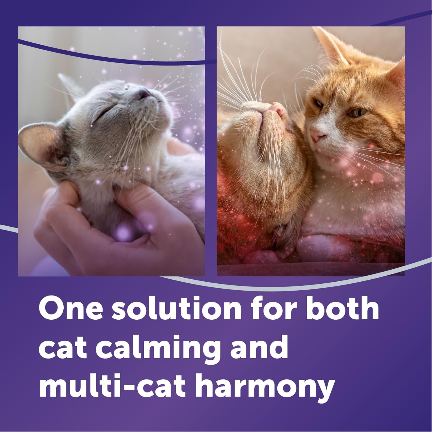 FELIWAY Optimum Cat Calming Pheromone Diffuser Refill - 6 Pack | Advanced Support to Help Reduce Urine Spraying, Scratching, Fighting & Hiding Due to Stress, 180 Day Supply | Product image 2